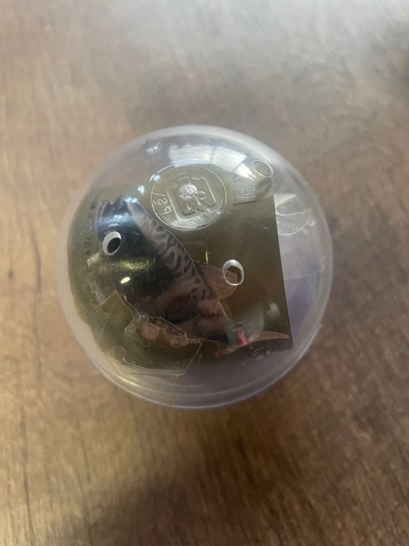 原色淡水魚図鑑I 限定版　ヤマメ×アメマス