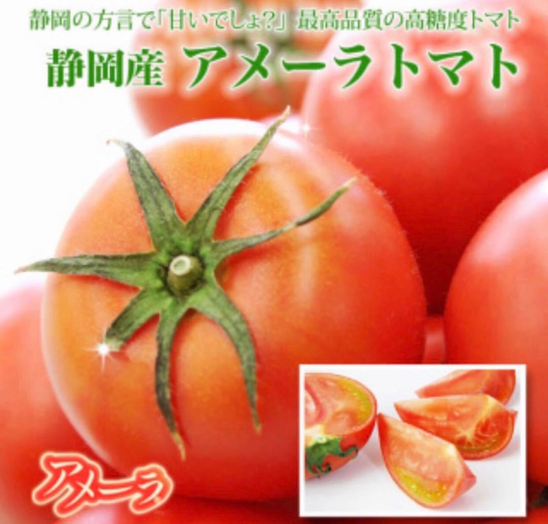 めぐみ　シュガートマト　アメーラトマト