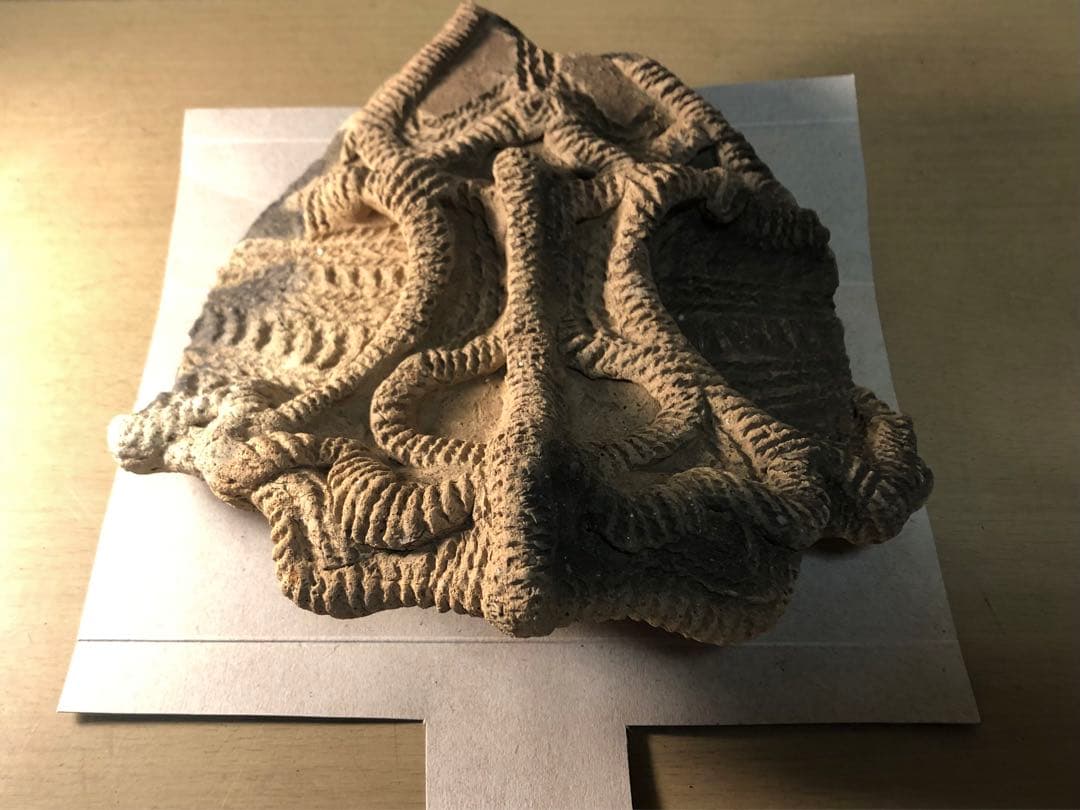 「土器の欠片 縁の部分 No.697」です。