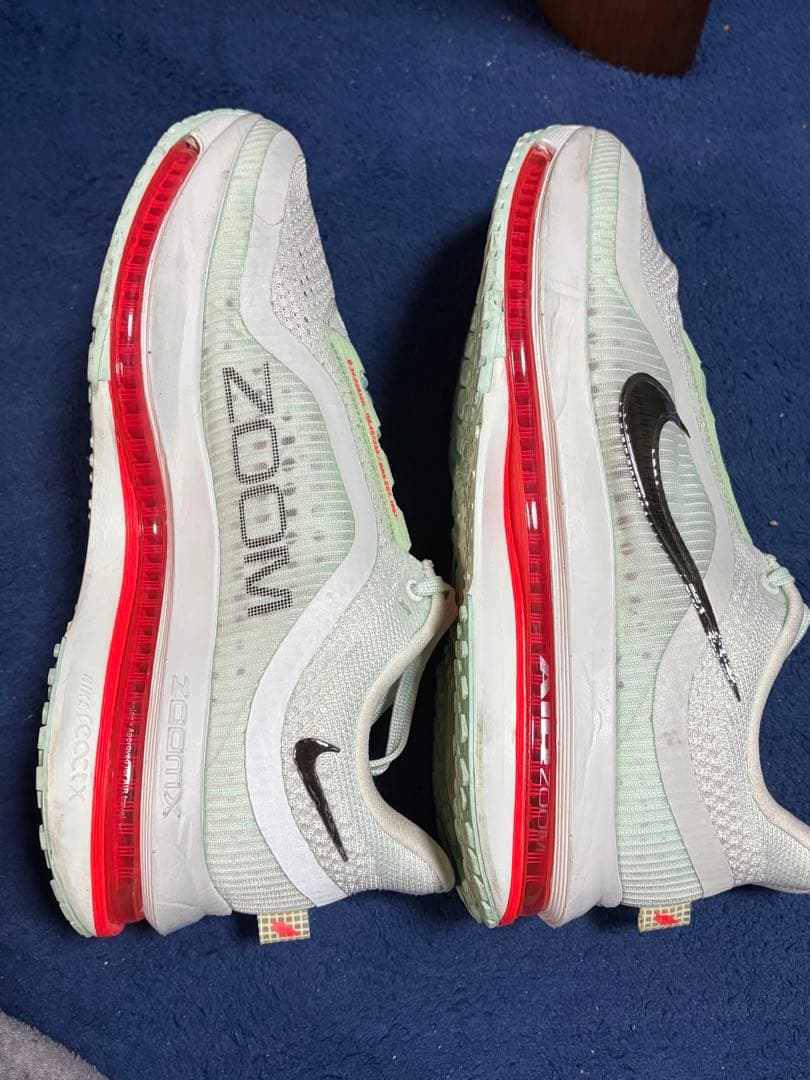 ナイキ ペガサス プレミアム25cm