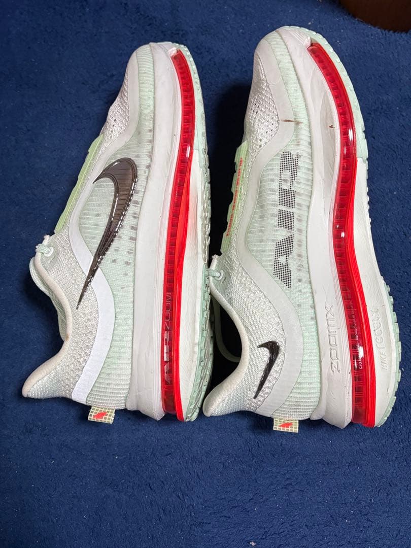 ナイキ ペガサス プレミアム25cm