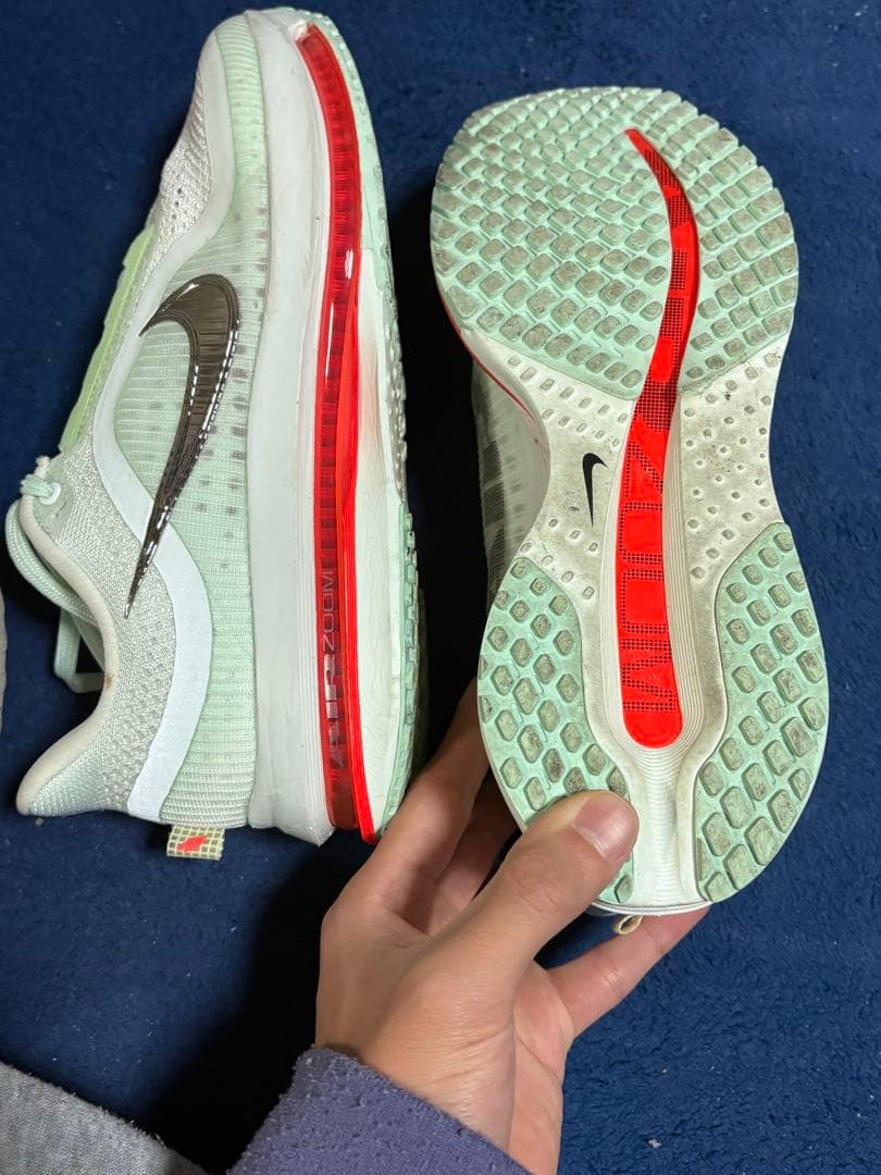 ナイキ ペガサス プレミアム25cm