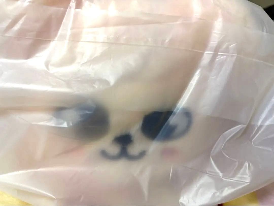 straykids celebrATE POPUP スンミン メンプロ パピーム