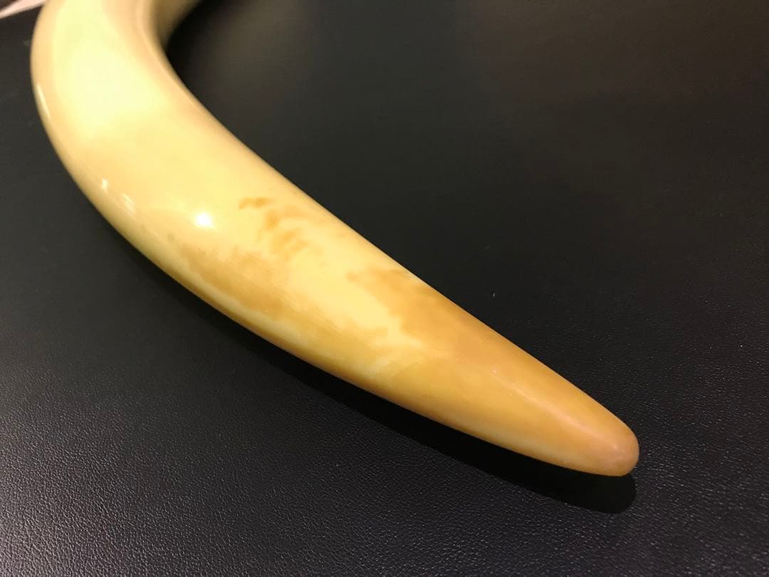 象牙風置物 レプリカ 練り物　オブジェ 一本牙 全長100cm