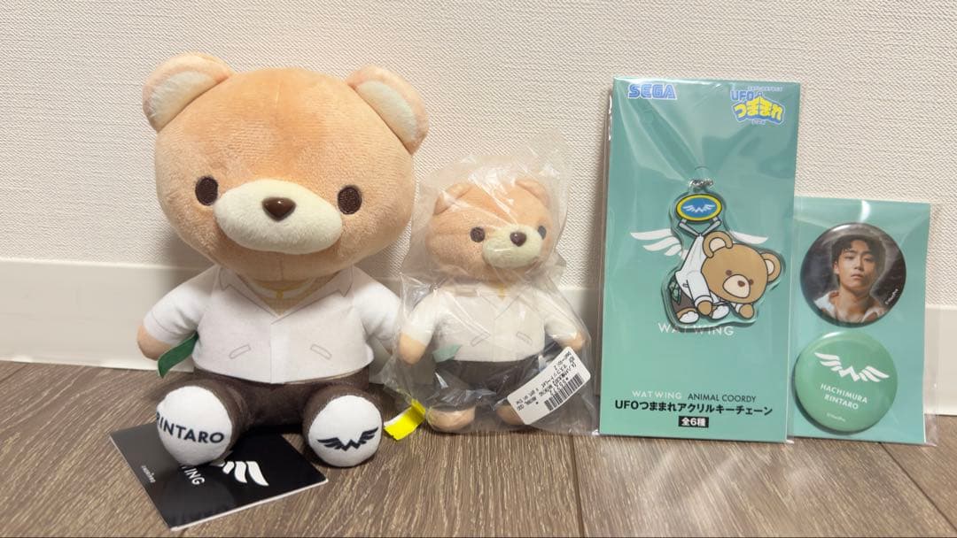 WATWING 八村倫太郎　セガ