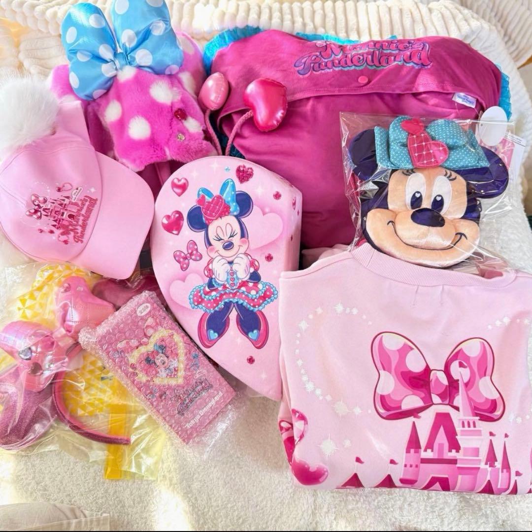 ミニーのファンダーランド　20点