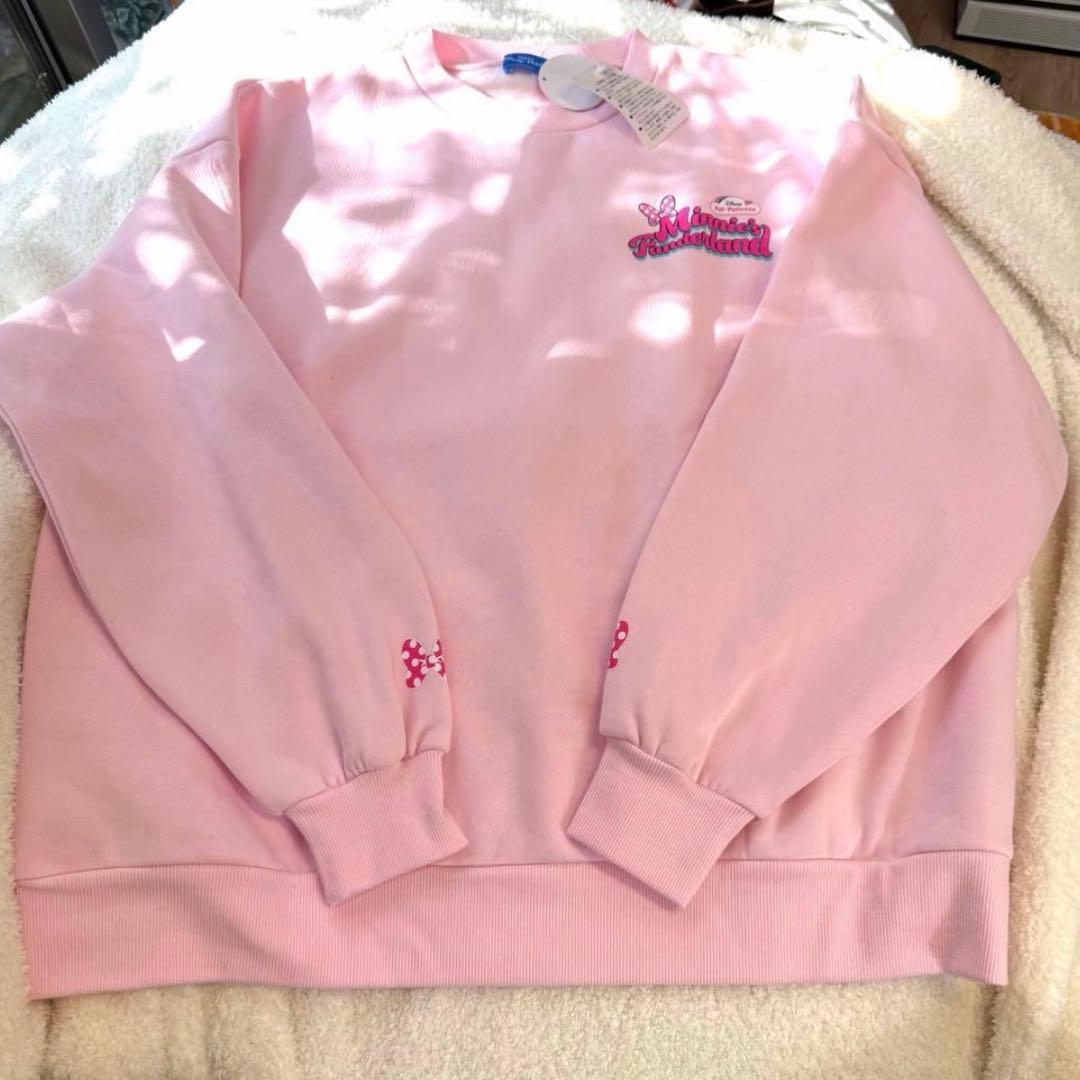 ミニーのファンダーランド　20点