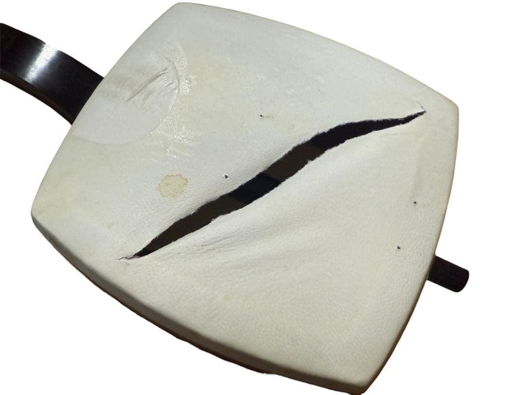 三味線 中棹 紫檀 東さわり 破れあり 和楽器 ハードケース付き