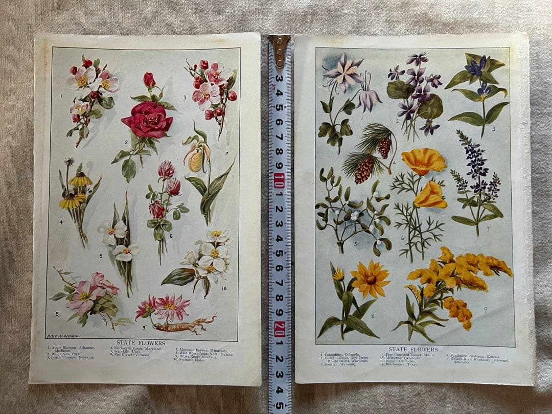 アンティーク花フルーツリトグラフ紙ものまとめ売りジャンクジャーナル素材蚤の市洋書