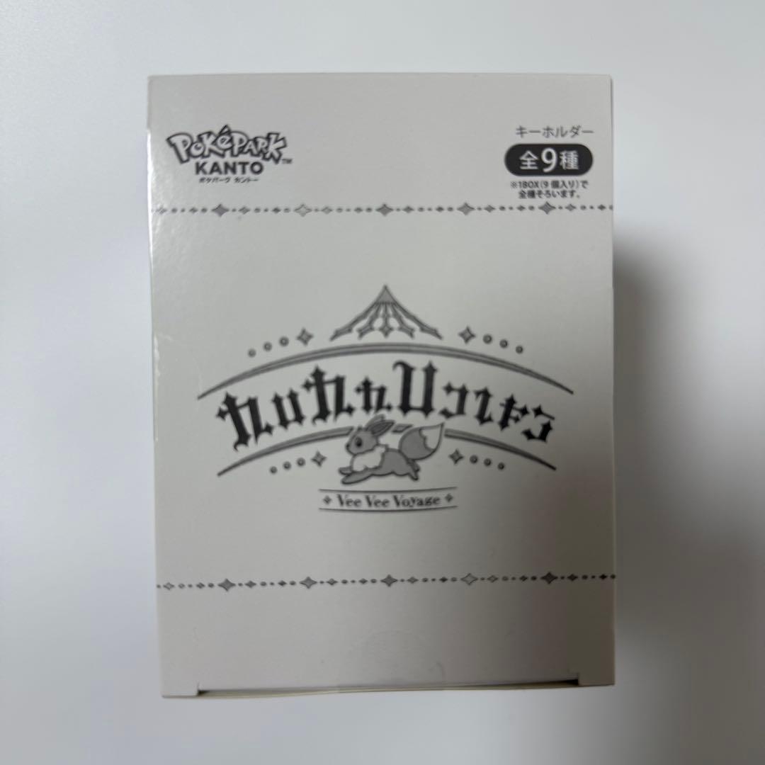 ポケパーク カントー 限定 ブイブイヴォヤージュ アクリルキーホルダー 全9種