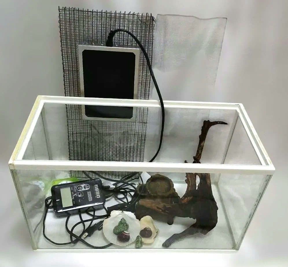 全て中古　 50センチ水槽　+　暖突ヒーター　流木、温湿計　貝殻など