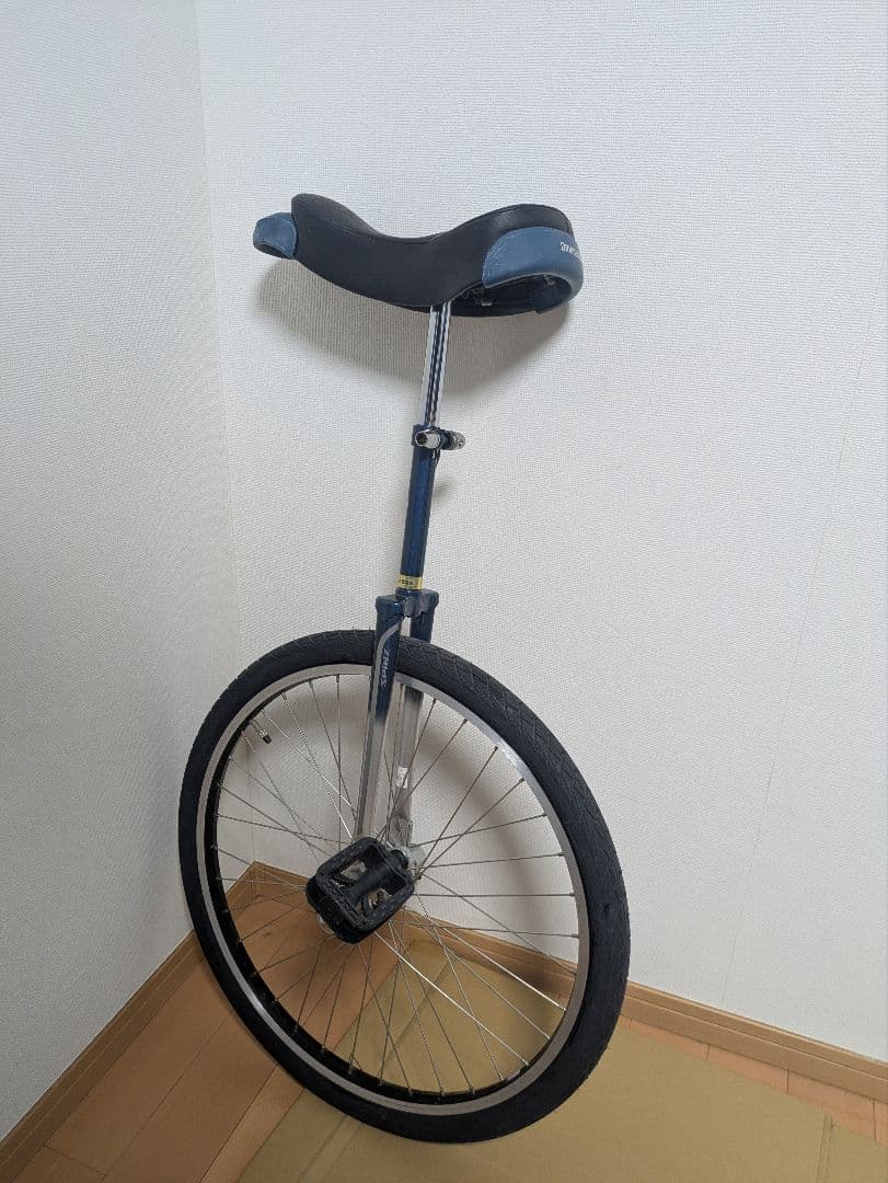 BRIDGESTONE スピンズ 24インチ 一輪車