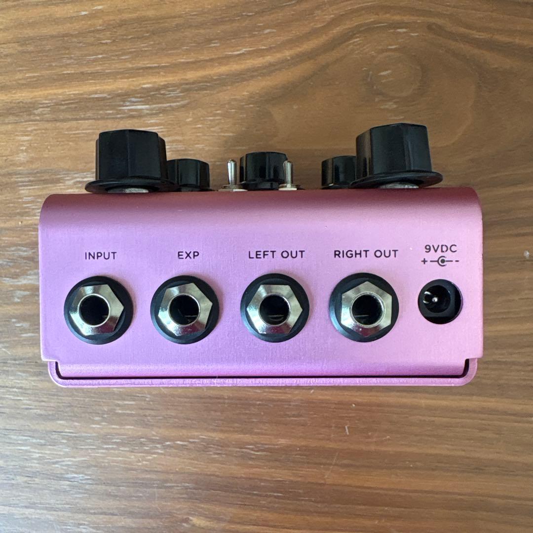 【タイムセール中】Strymon DIG v1