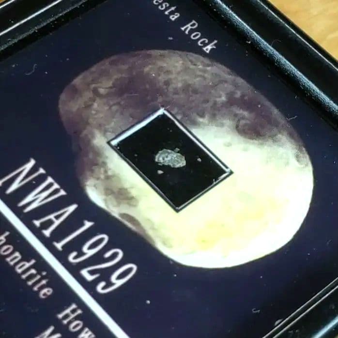 小惑星ベスタ起源のNWA1929隕石標本