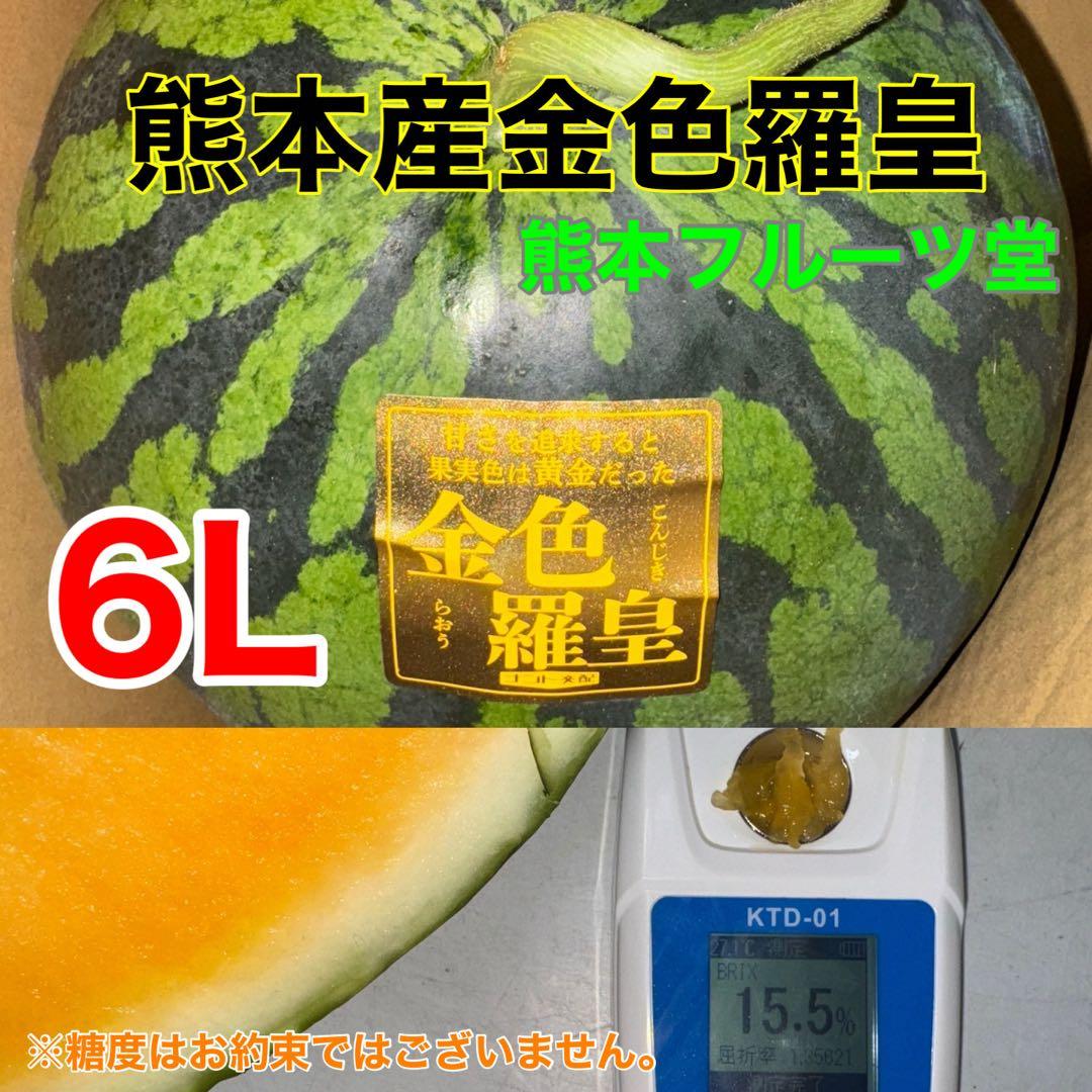 百貨店御用達！美味い！熊本産【金色羅皇】秀品6L2玉セット（23〜25k箱込）