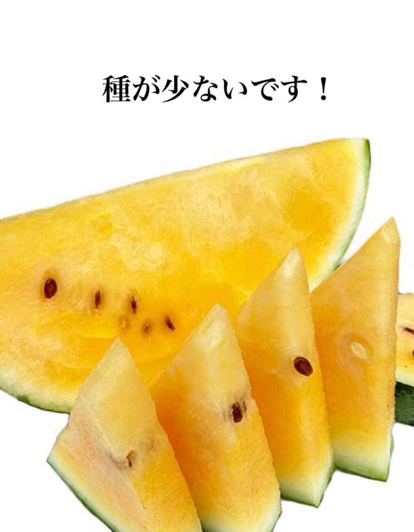 百貨店御用達！美味い！熊本産【金色羅皇】秀品6L2玉セット（23〜25k箱込）