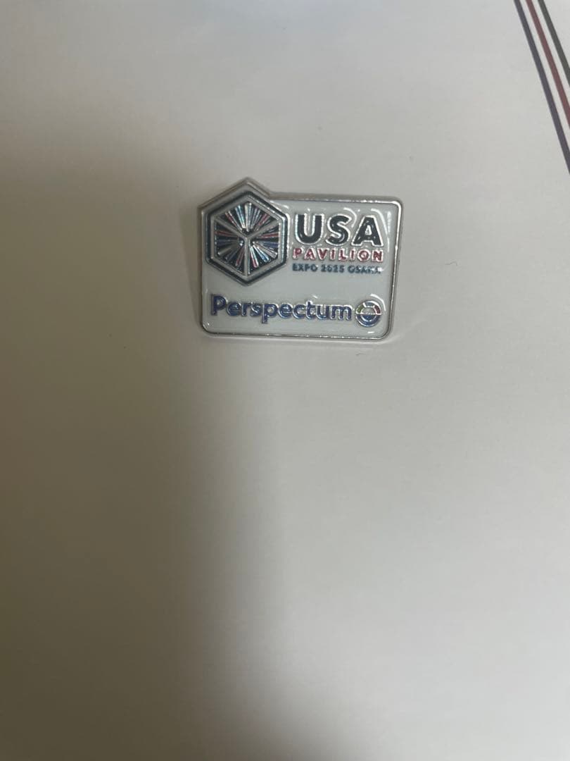 【激レア】アメリカ館　ピンバッジ　関係者限定　Perspectum社　コラボ