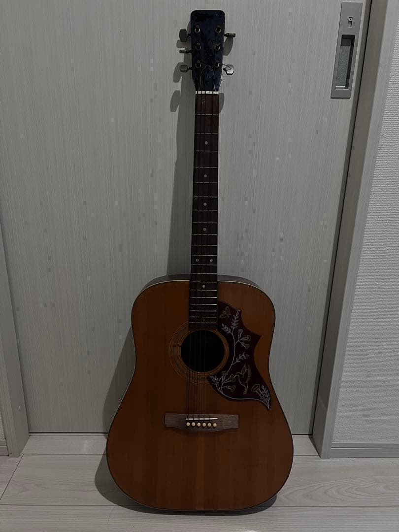 REGAL GUITAR リーガルギター