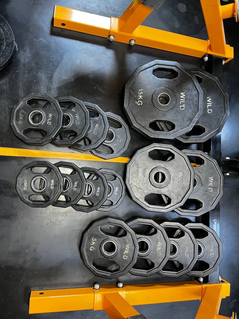 パワーテック　ハーフラック　ラットオプション オリンピックシャフト　他多数