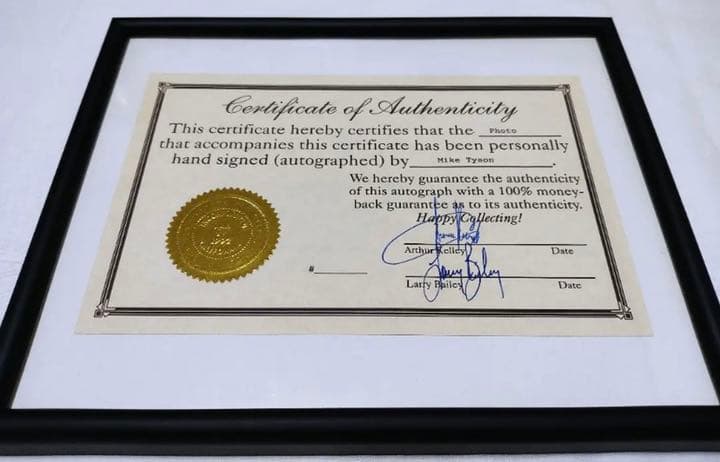マイクタイソン　直筆サイン　激レア