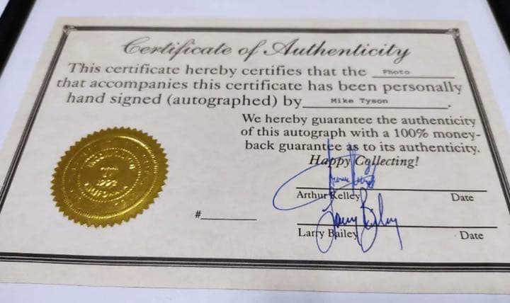 マイクタイソン　直筆サイン　激レア
