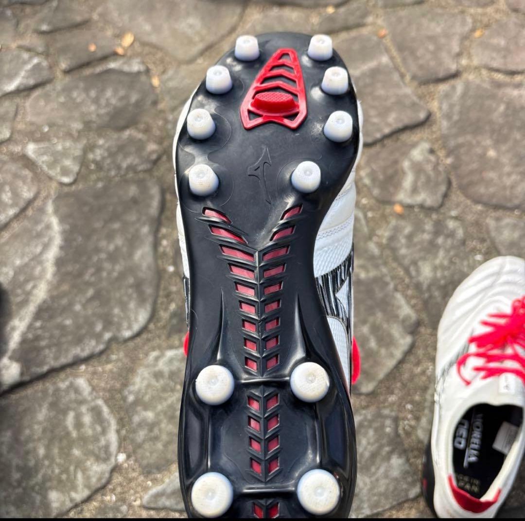 モレリアネオ4β定番カラー白