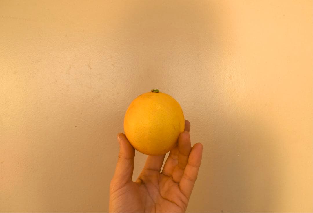 【超大特価！マイヤーレモン冷凍果汁20kg SALE！！！！】