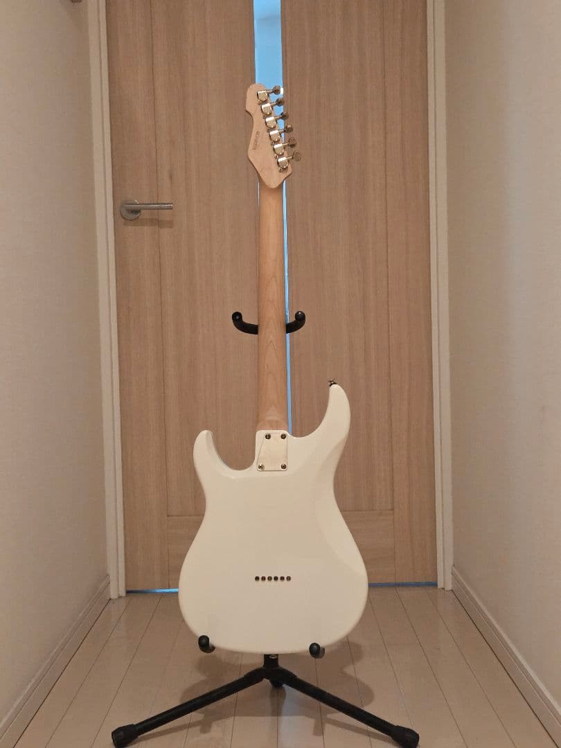 ホワイト エレキギター ハムバッカー