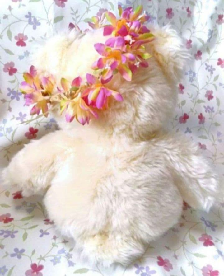 テディベア&うさぎ&ミニくま❣️仲良しセット