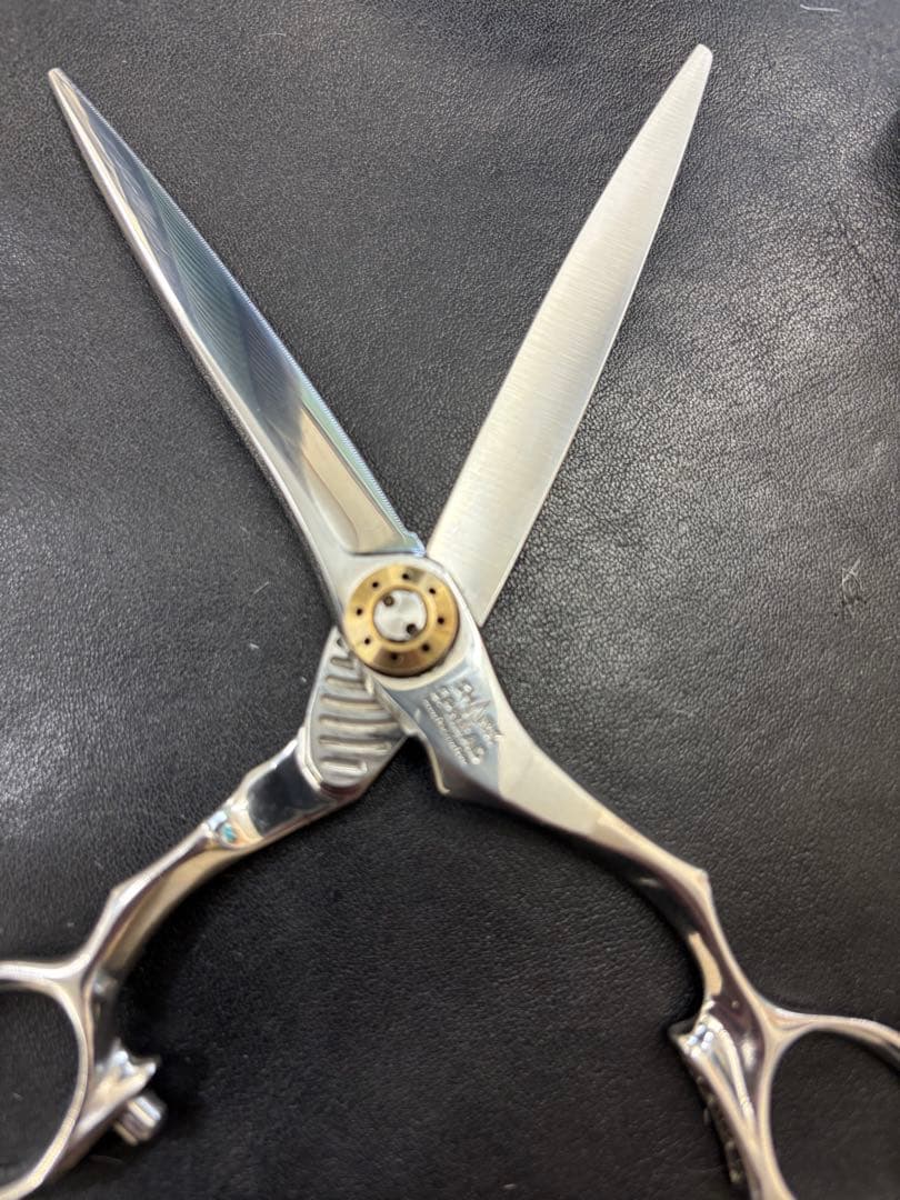 トギノン　シャークスプレッド