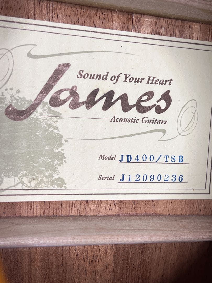 JAMES JD400 TSB アコースティックギター（状態良好）