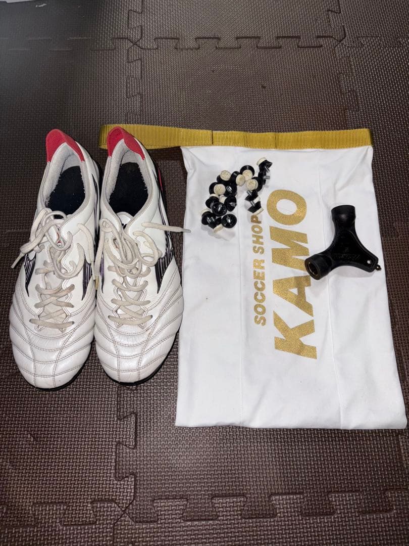 モレリア NEO3 取り替え式 SG