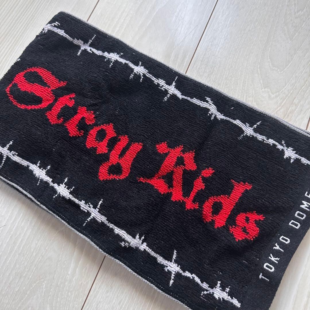 StrayKids スキズ ペンライト うちわ うちわカバー アプクレ特典