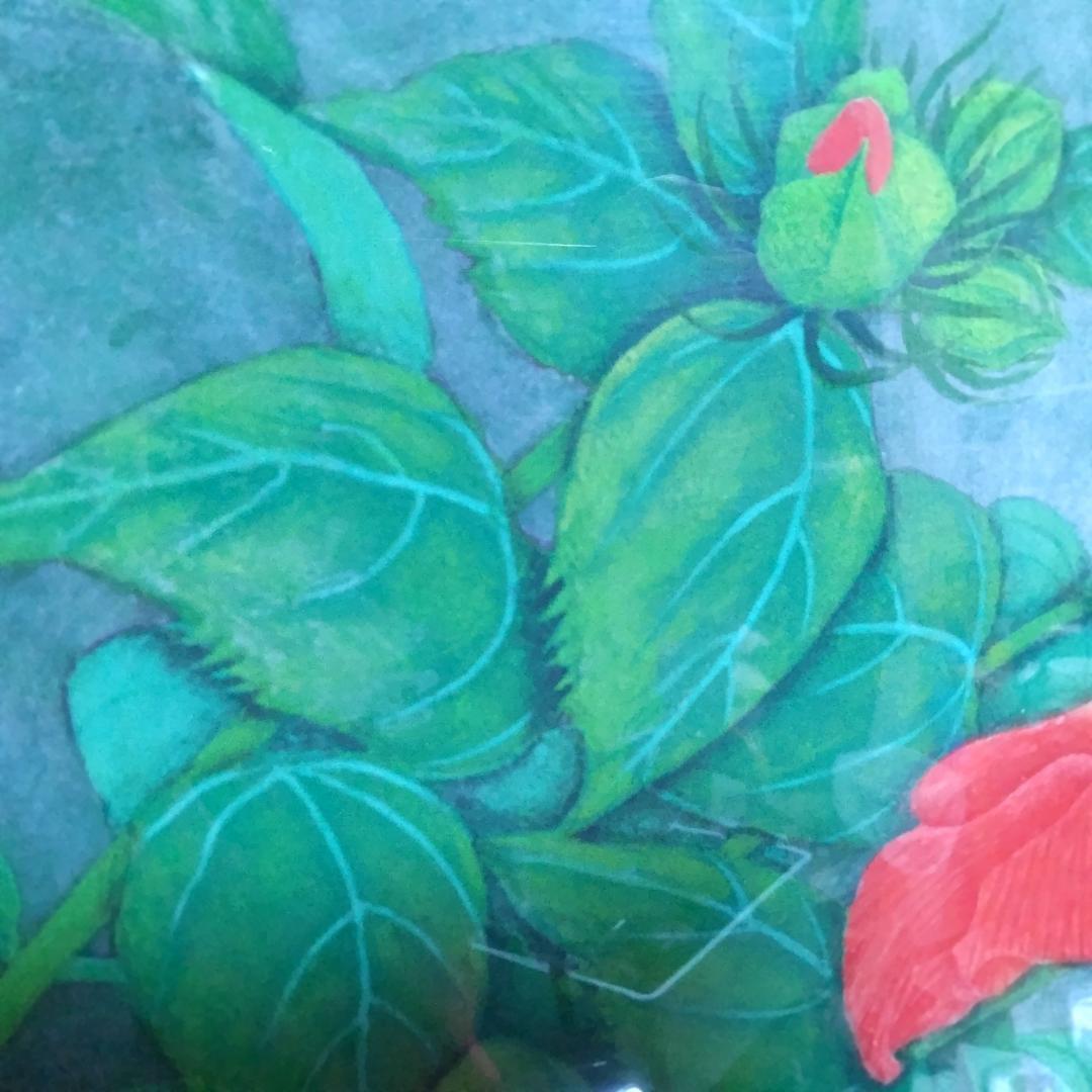 日本画 ハイビスカス アクリル アルミ額付き