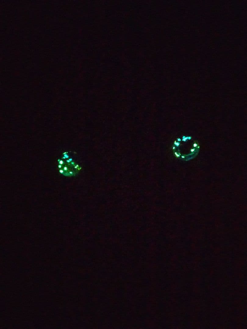 まんまるんモンスター♥人形 アートドールおばけ幻獣 ハンドメイドぬいぐるみ