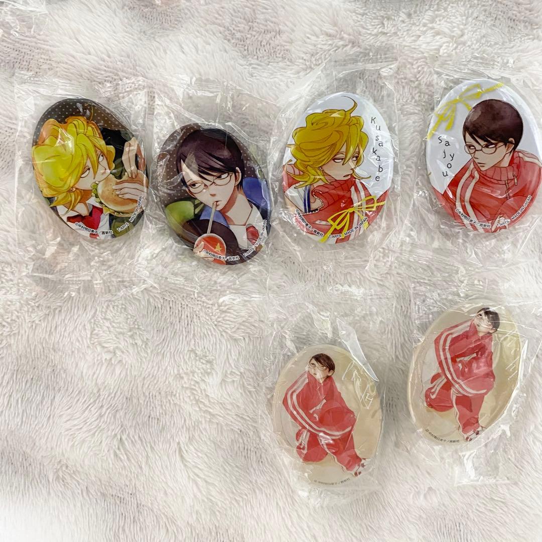 同級生 缶バッジコレクション ガチャガチャ 中村明日美子29個セット