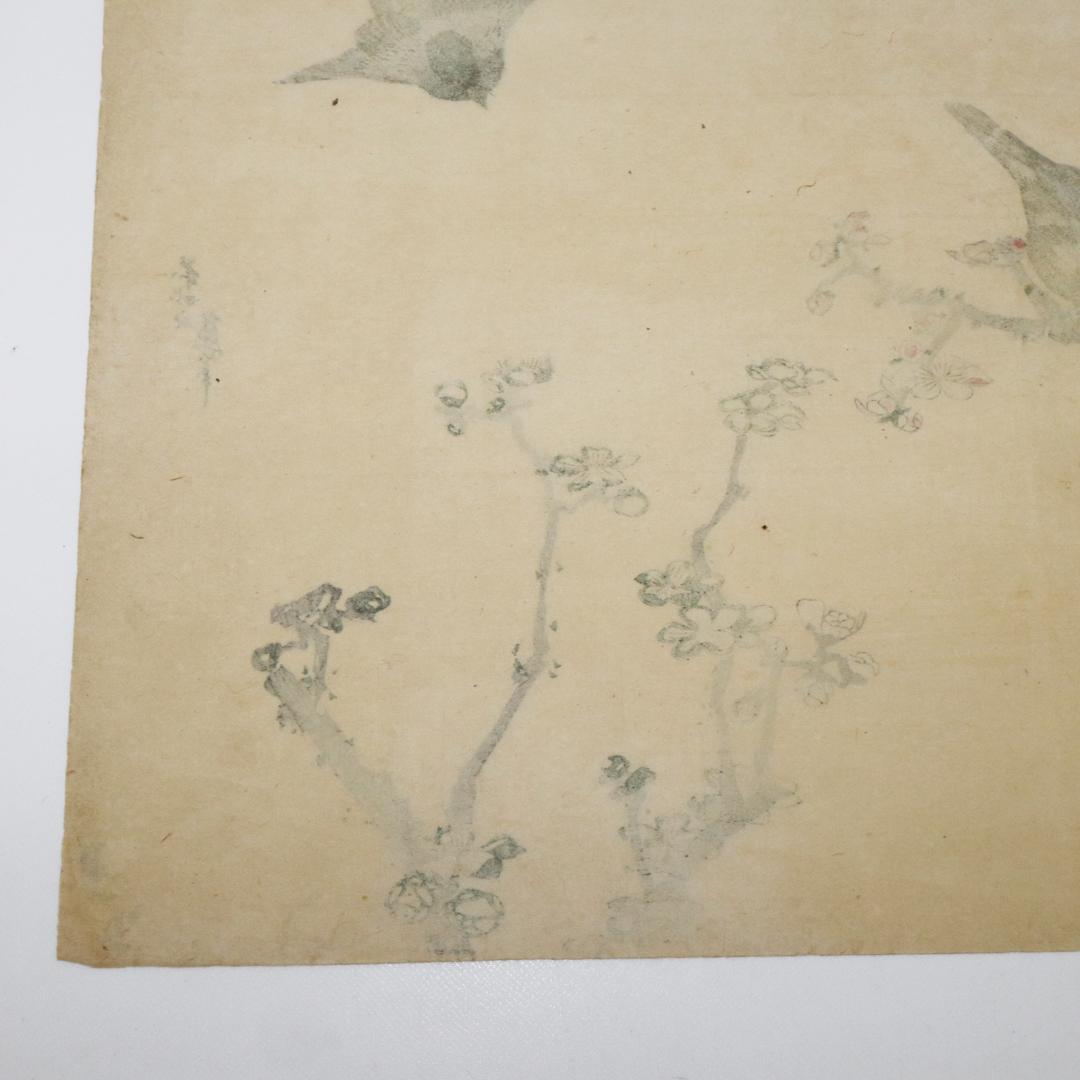 葛飾北斎　大判　木版画　花鳥図　浮世絵　梅　鳥