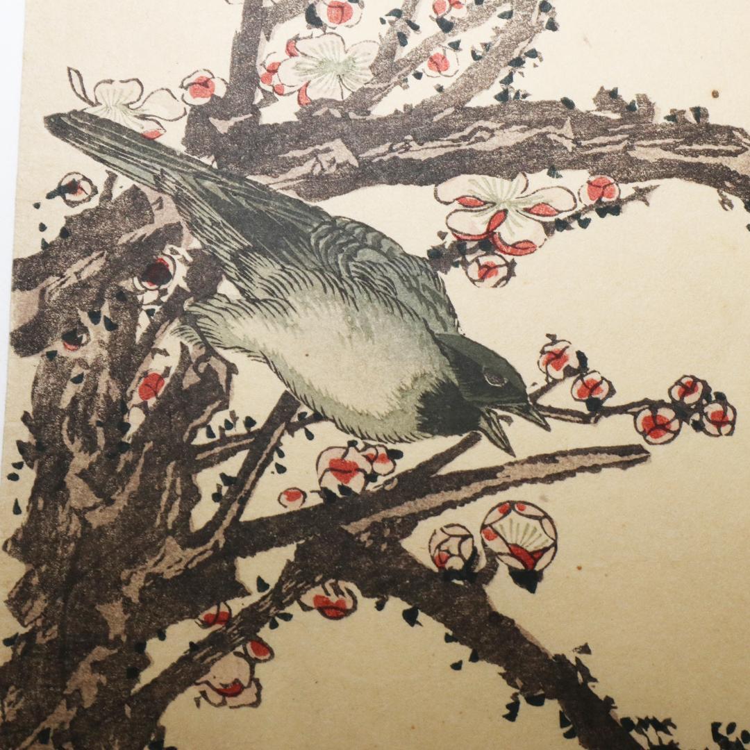 葛飾北斎　大判　木版画　花鳥図　浮世絵　梅　鳥