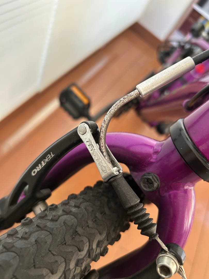 n*o様 Louis Garneau 270mm MIDNIGHT PURPLE