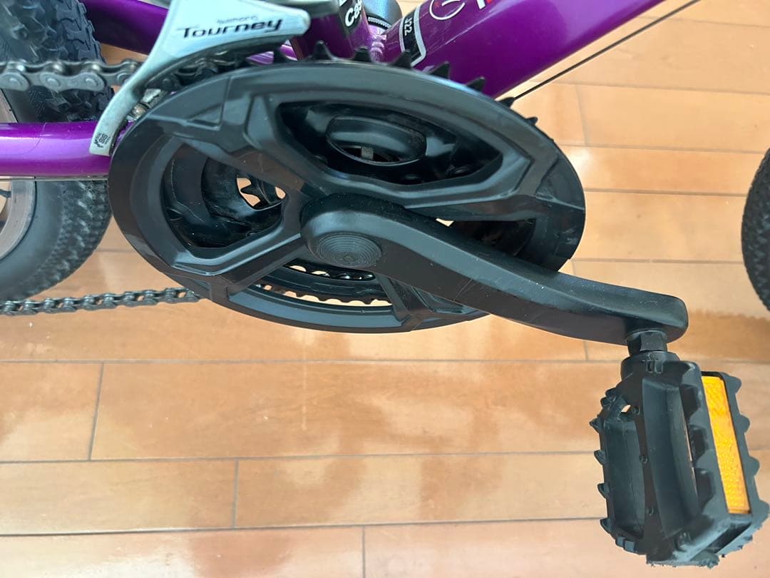 n*o様 Louis Garneau 270mm MIDNIGHT PURPLE