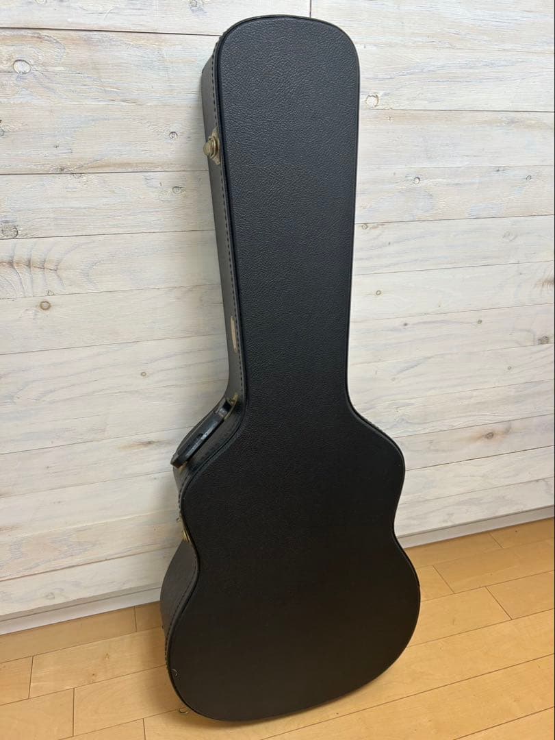 MORRIS TF-801 & Martin ハードドケース