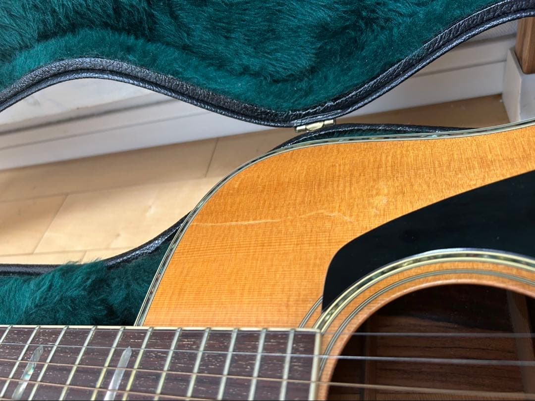 MORRIS TF-801 & Martin ハードドケース