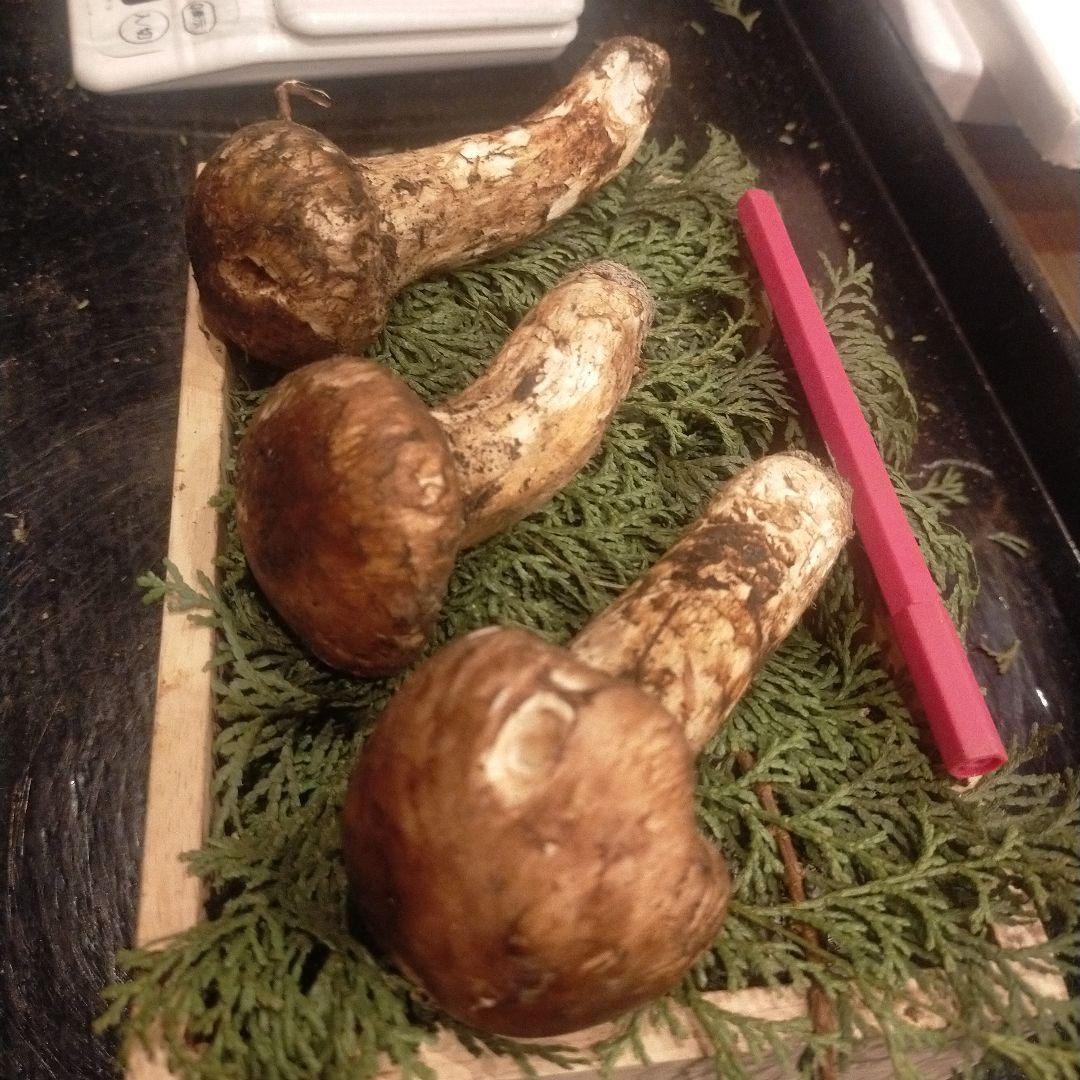 ①信州産 松茸　長野県　クール便　190g