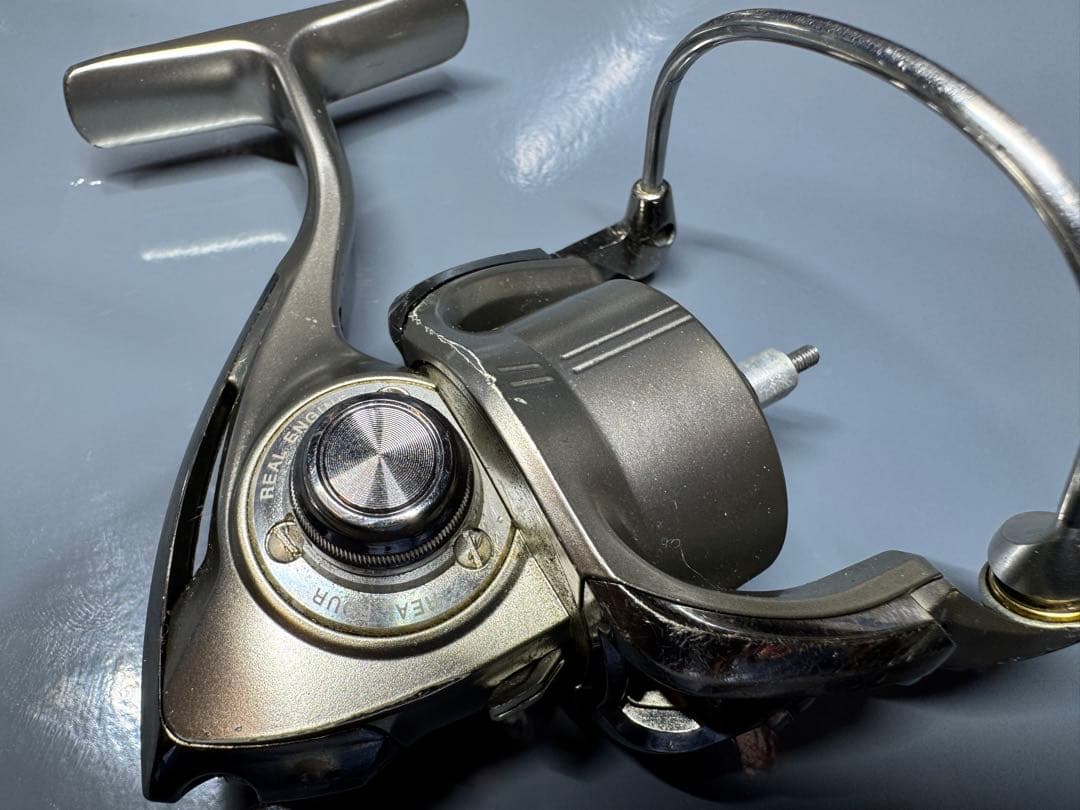 ダイワイグジスト　ボディのみ