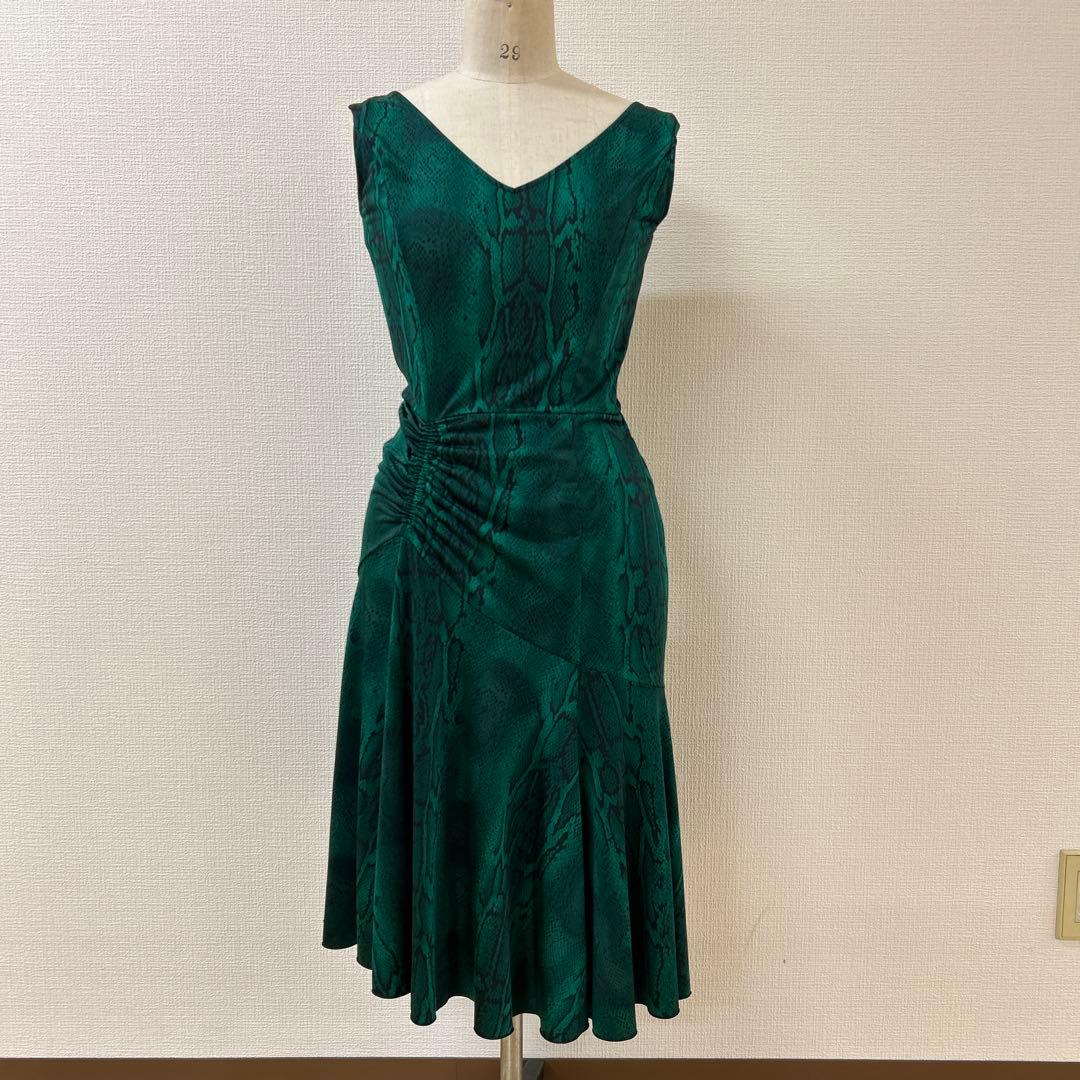 チャコット社交ダンスラテンワンピース緑ヘビ柄