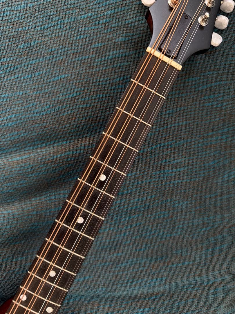 【最終価格】Eastman MDO-305 オクターブマンドリン