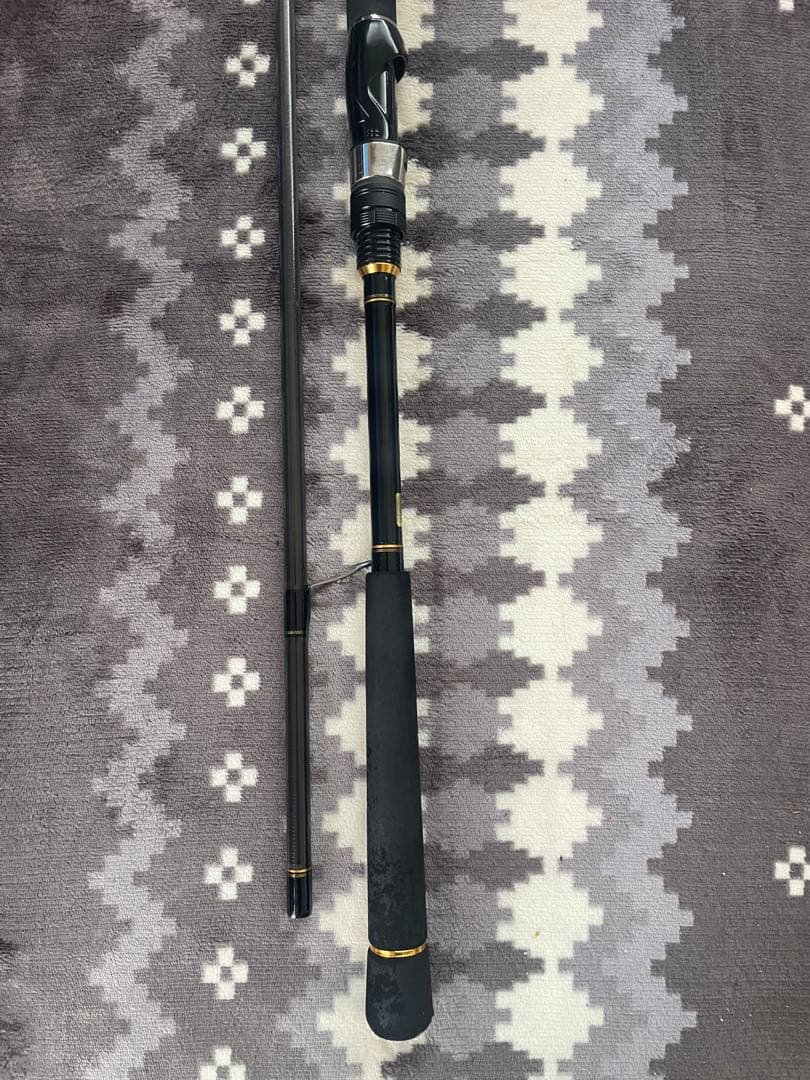 ロッド DAIWA SEABASS HUNTER X 106M