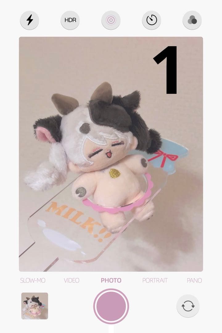 3 ジャッキー ラッセル様14本