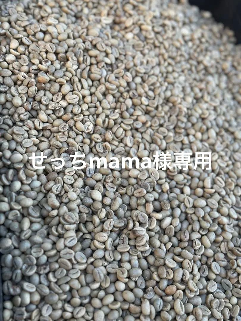 爆安!![コーヒー 生豆 ]ブラジル サントス No.2 / 10kgナチュラル