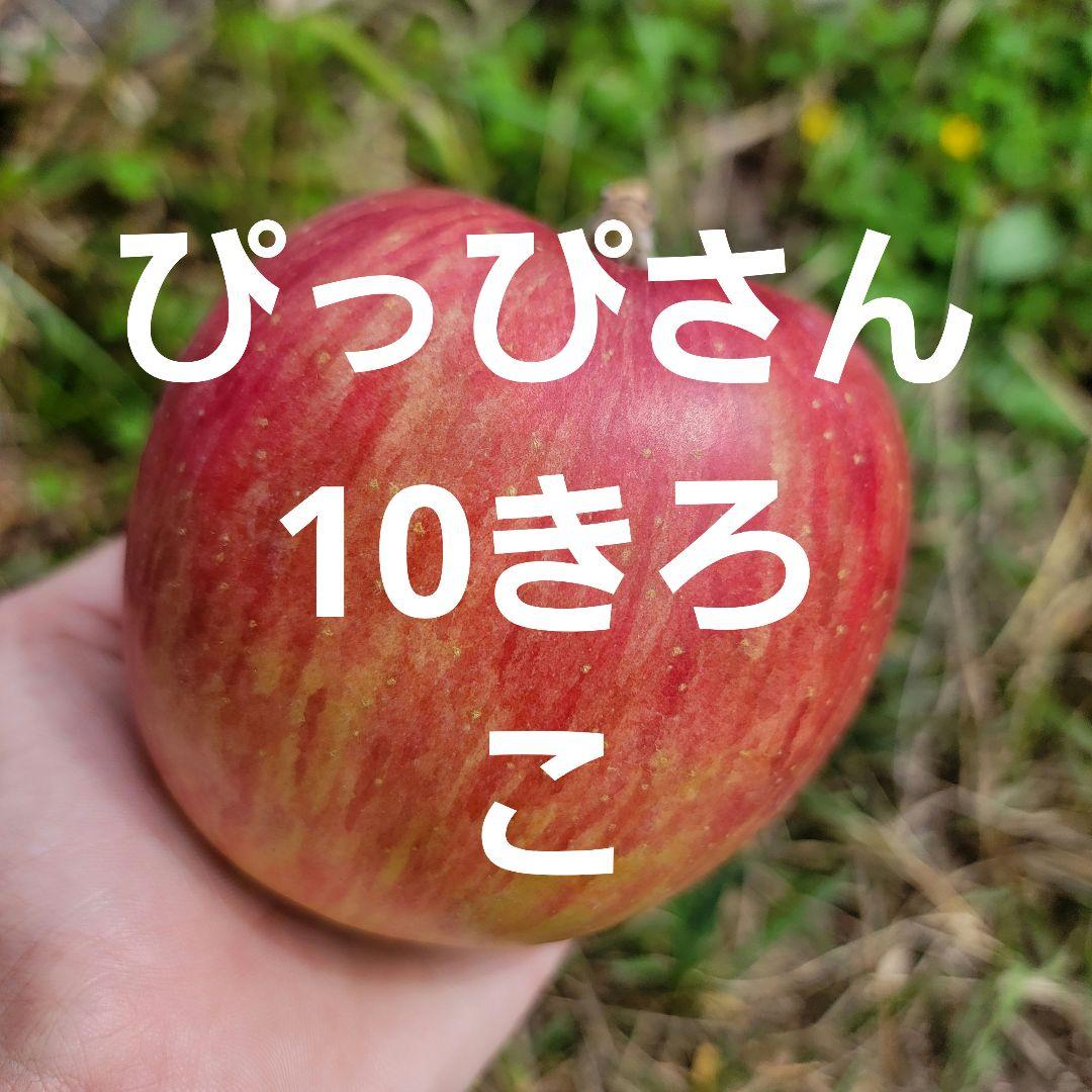 ぴっぴさん10キロ